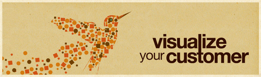 Visualize Your Customer